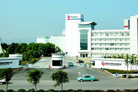 安琪酵母股份公司合作案