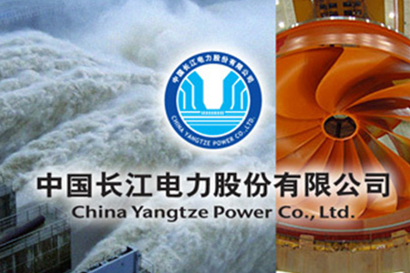 长江电力公司合作案例